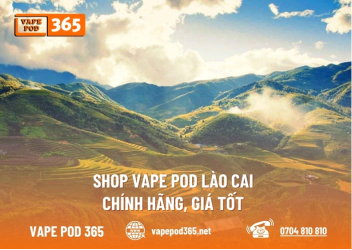 Cửa Hàng Vape Pod Lào Cai Uy Tín, Được Yêu Thích